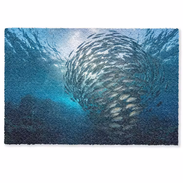 Vis - School - Oceaan - Natuur - Blauw Deurmat klein -zkaufland3d