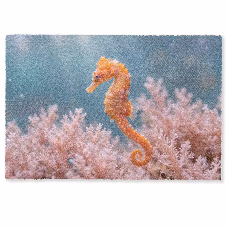 Vis - Koraal - Oceaan - Macro - Oranje Deurmat klein -zkaufland3d