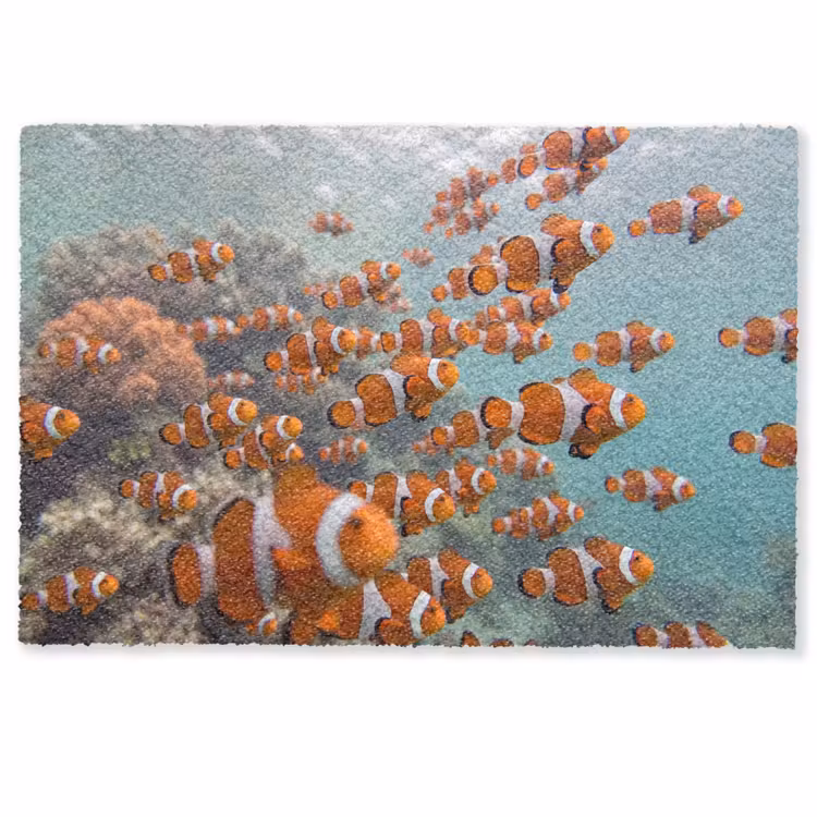 Vis - School - Onderwater - Dieren - Oranje Deurmat klein -zkaufland3d
