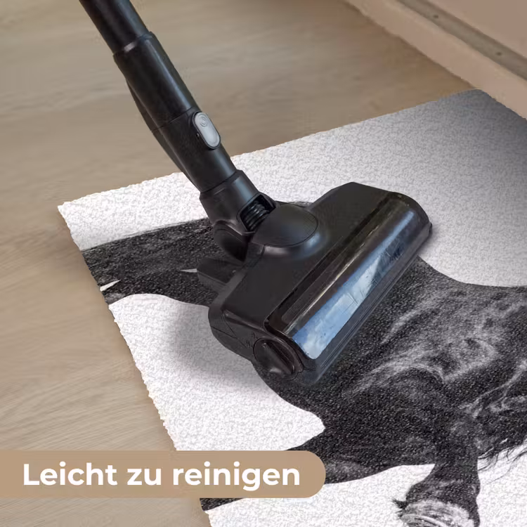 Fries - Hengst - Modern Deurmat klein -reinigen_DE