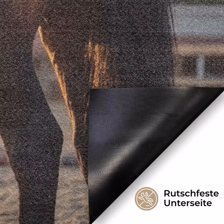 Harmonie - Ruiter - Zon Deurmat klein -antislip_DE