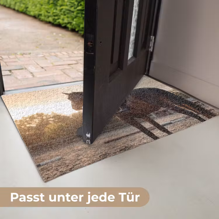 Harmonie - Ruiter - Zon Deurmat klein -USP_DE