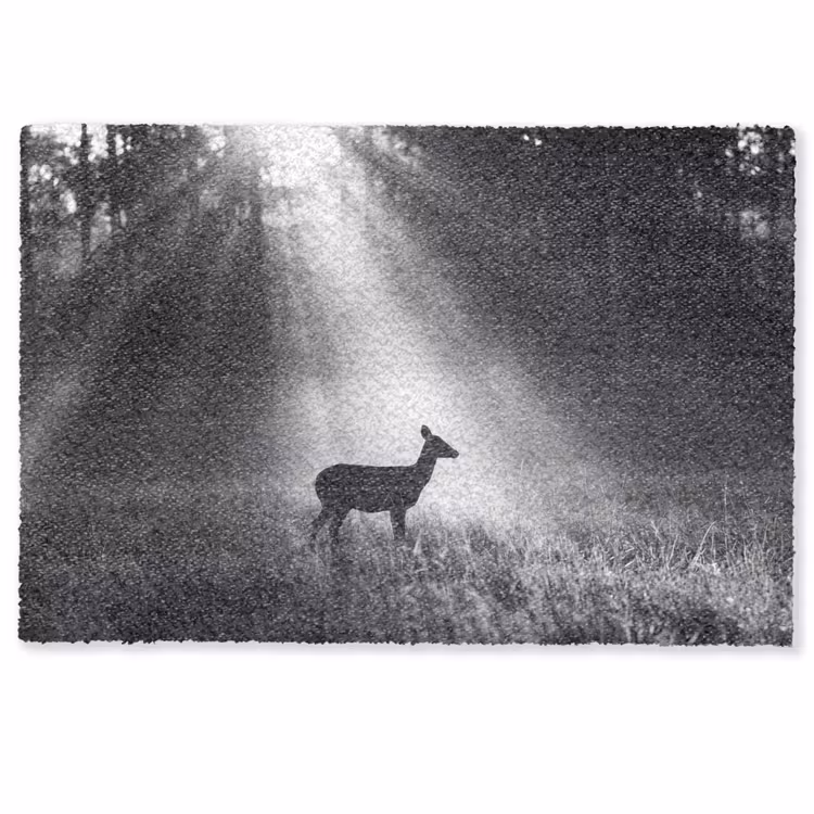 Hert - Bos - Zonnestralen - Zwart-wit - Natuur Deurmat klein -zkaufland3d