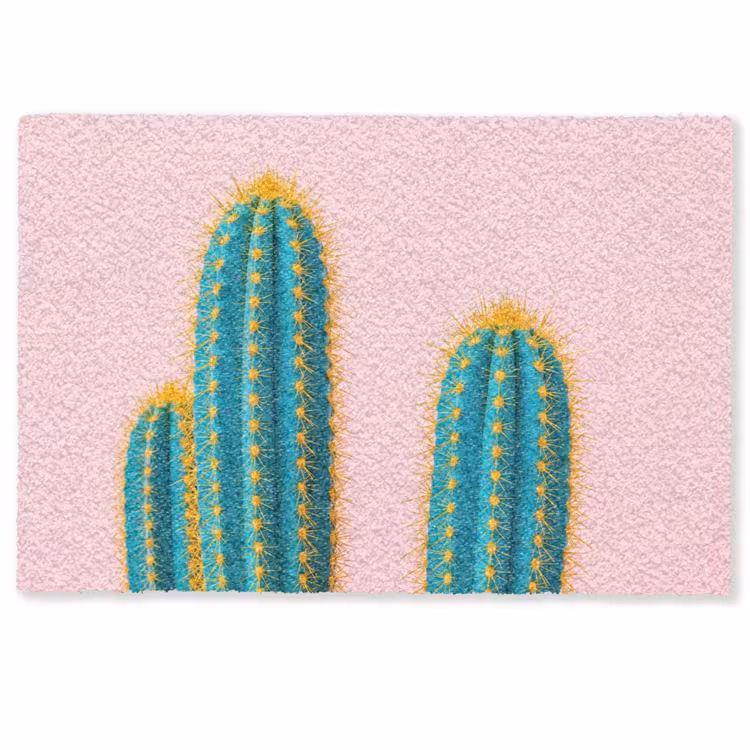 Cactussen - Modern - Pastel Deurmat klein -zkaufland3d
