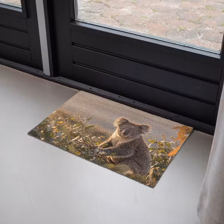 Koala - Bladeren - Ochtendlicht Deurmat klein -sfeer2