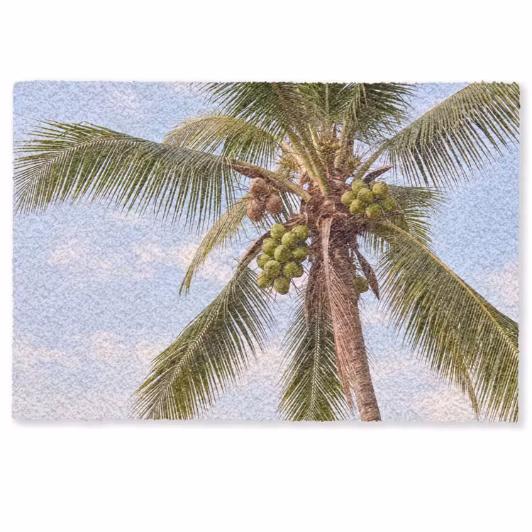 Fußmatte - Kokosnuss – Baum – Tropisch – Natur – Grün - Kokosnoot - Boom - Tropisch - Natuur - Groen Deurmat klein