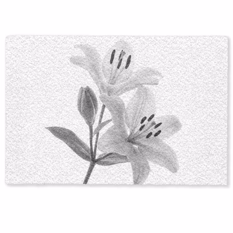 Lelies - Elegant - Zwart - Wit Deurmat klein -zkaufland3d