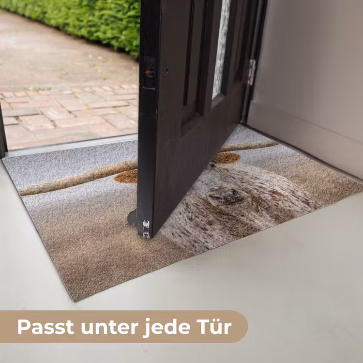 Longhorn - Grasveld - Dier Deurmat klein -USP_DE