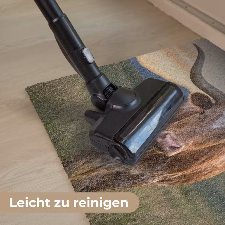 Longhorn - Landschap - Zonsondergang Deurmat klein -reinigen_DE