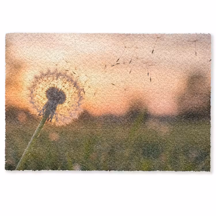 Paardenbloem - Zonsondergang - Veld Deurmat klein -zkaufland3d