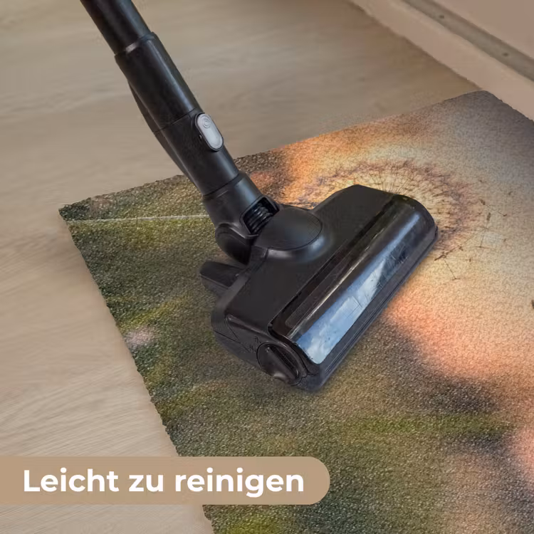 Paardenbloem - Zonsondergang - Veld Deurmat klein -reinigen_DE