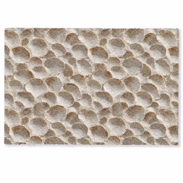 Schelpen - Waaiervorm - Wit Deurmat klein 898 -zkaufland3d