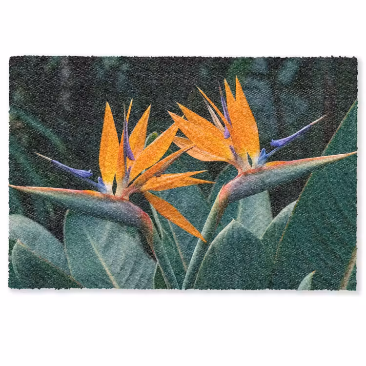 Paradijsvogel - Bloem - Exotisch Deurmat klein -zkaufland3d