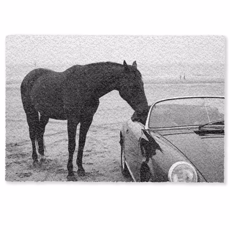 Paard - Auto - Zwart - Wit Deurmat klein -zkaufland3d