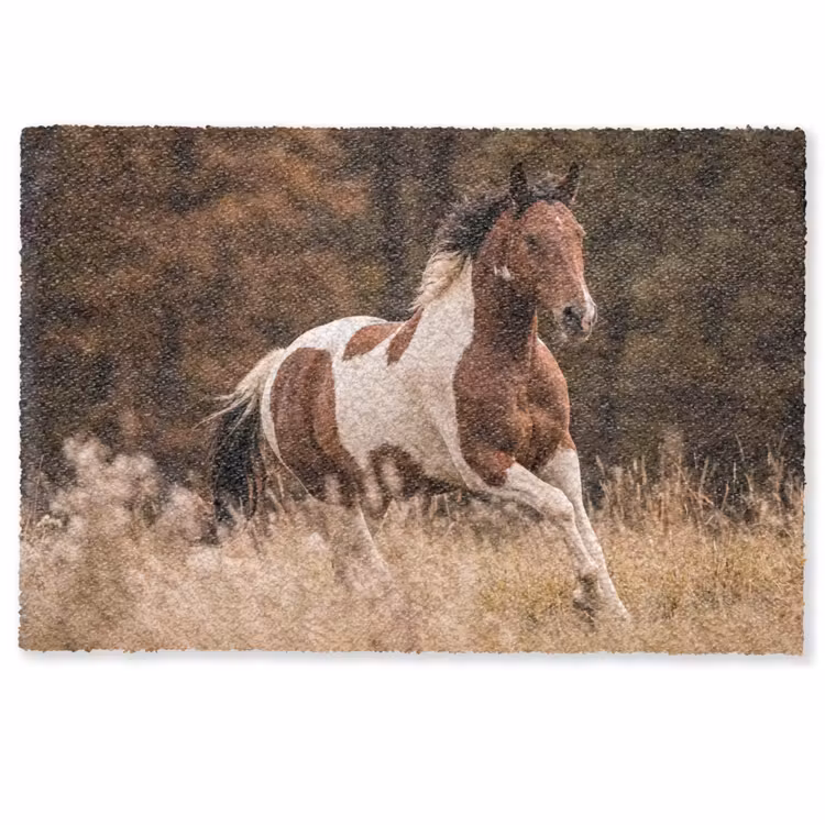 Paard - Bruin - Gras Deurmat klein -zkaufland3d
