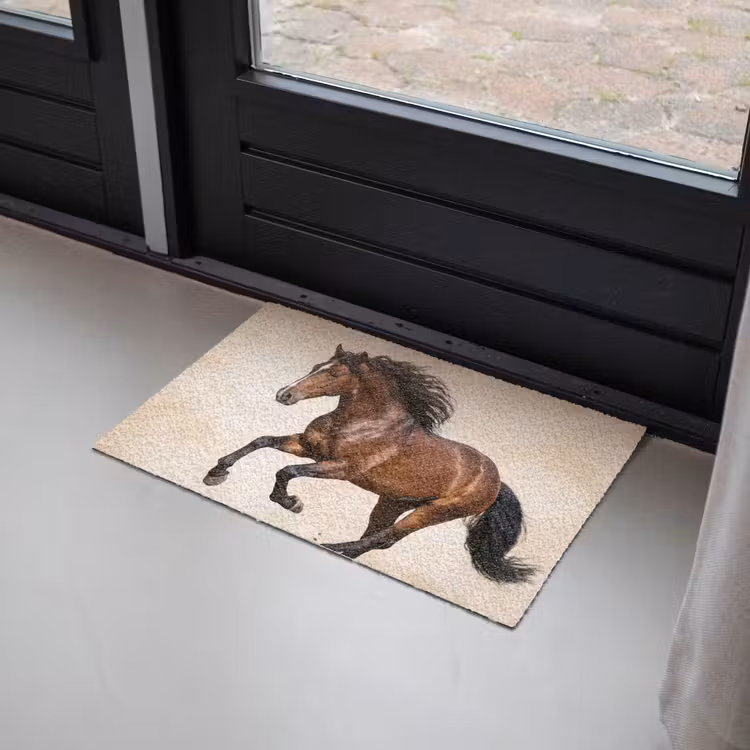 Paard - Galop - Energie Deurmat klein -sfeer2