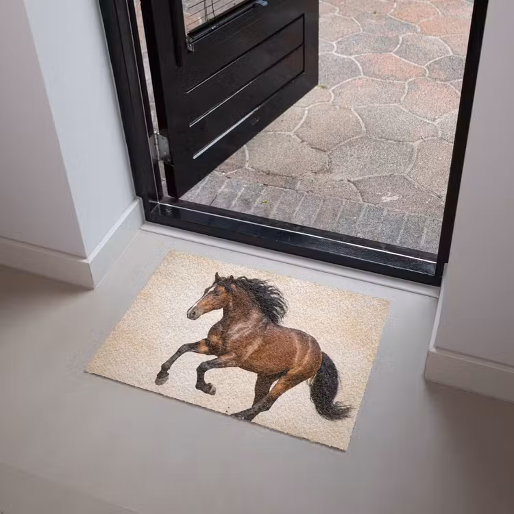 Paard - Galop - Energie Deurmat klein -sfeer5