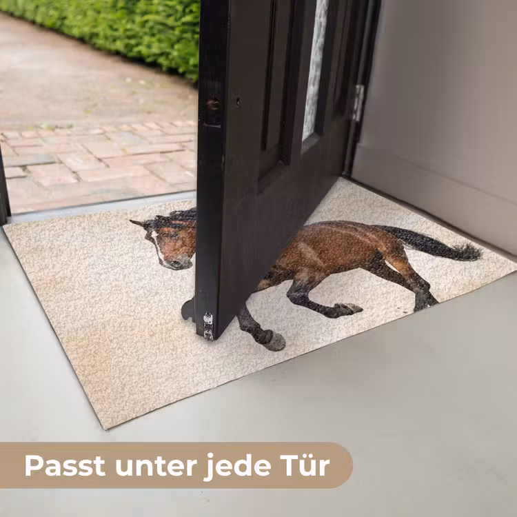 Paard - Galop - Energie Deurmat klein -USP_DE
