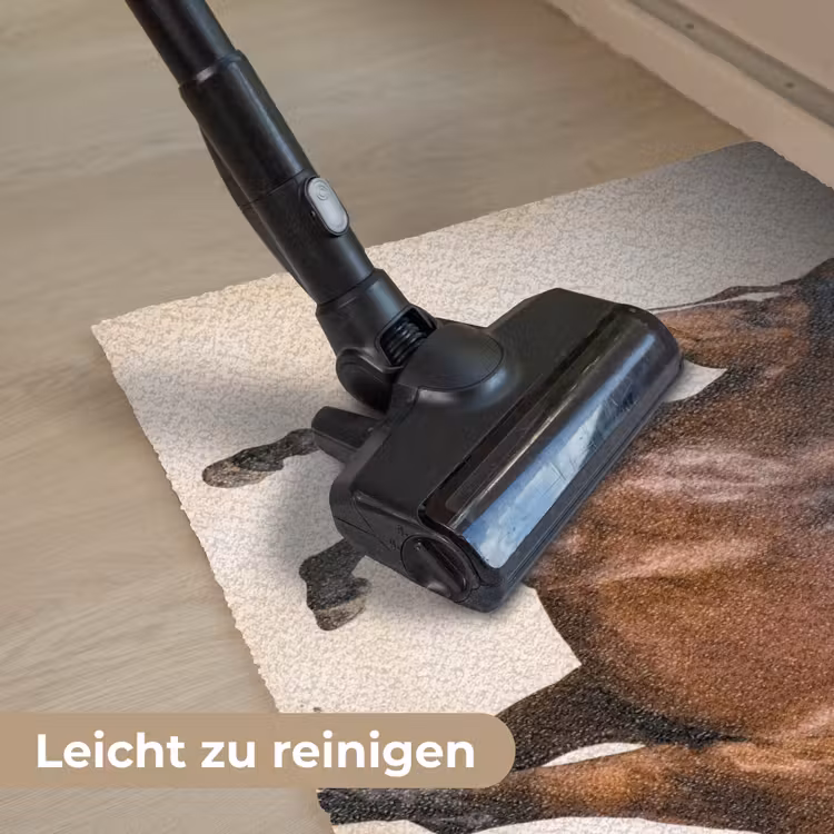 Paard - Galop - Energie Deurmat klein -reinigen_DE