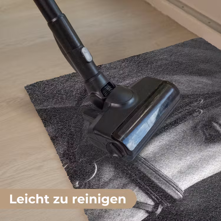 Paard - Schimmel - Portret Deurmat klein -reinigen_DE