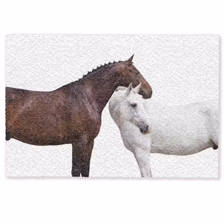 Paard - Modern - Balans Deurmat klein -zkaufland3d