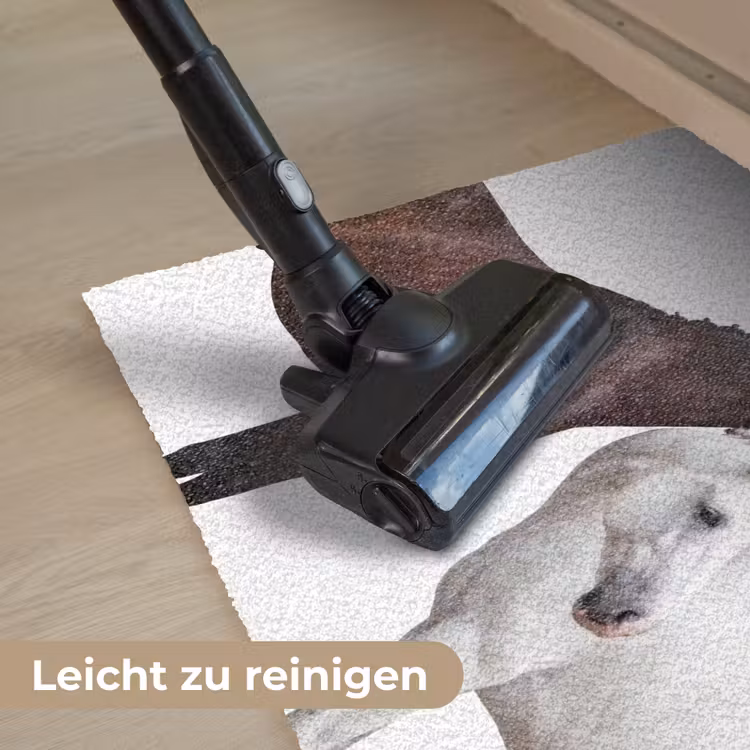 Paard - Modern - Balans Deurmat klein -reinigen_DE