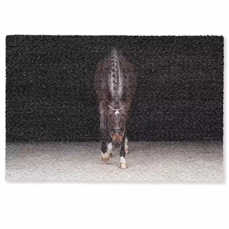 Paard - Modern - Portret Deurmat klein -zkaufland3d
