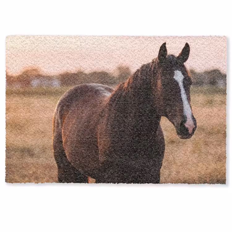 Paard - Zonsondergang - Bruin Deurmat klein -zkaufland3d