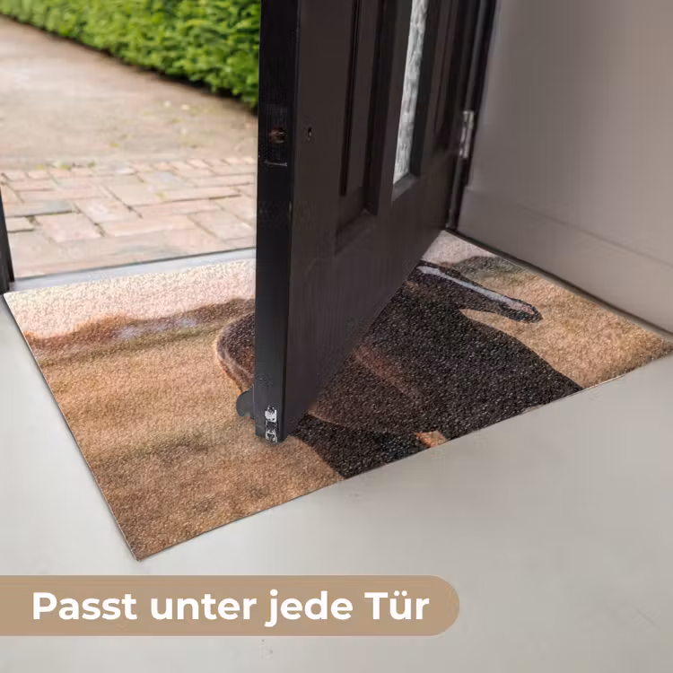 Paard - Zonsondergang - Bruin Deurmat klein -USP_DE