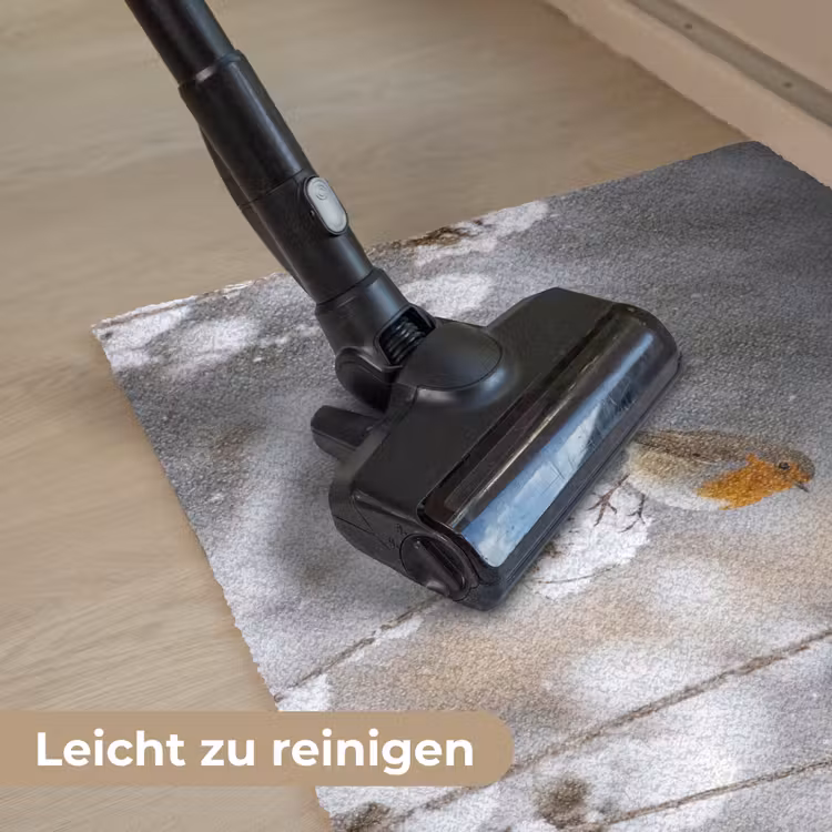 Roodborstje - Gedroogde bloem - Sneeuw - Winter - Vertederend Deurmat klein -reinigen_DE