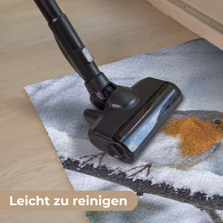 Roodborstje - Tak - Sneeuw - Winter - Levendig Deurmat klein -reinigen_DE