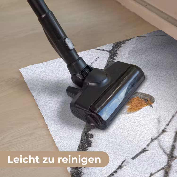 Roodborstje - Tak - Sneeuw - Winter - Levendig Deurmat klein -reinigen_DE