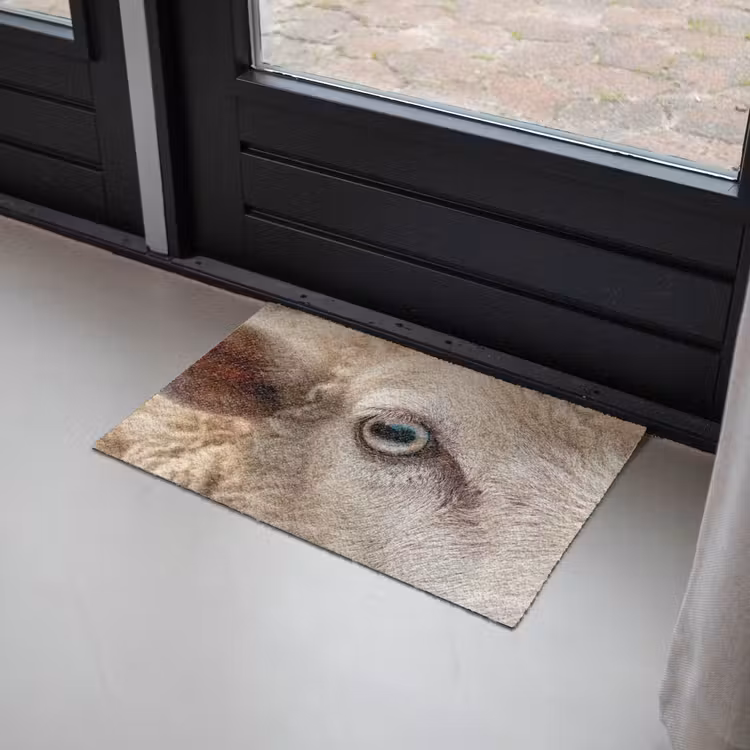 Schaap - Oog - Wit Deurmat klein -sfeer2