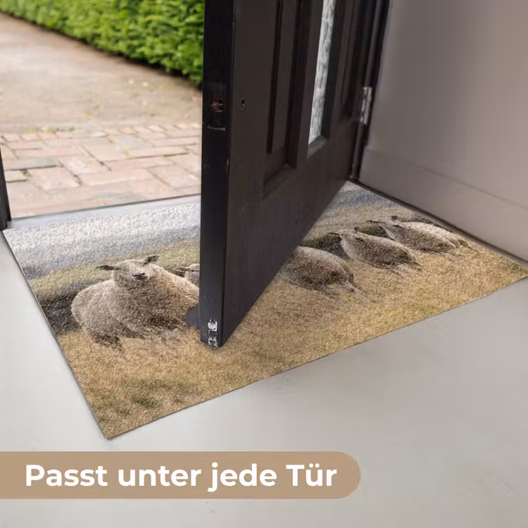 Schapen - Weidenlandschap - Heuvels Deurmat klein -USP_DE
