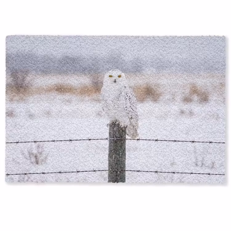 Sneeuwuil - Hek - Sneeuw - Wit Deurmat klein -zkaufland3d