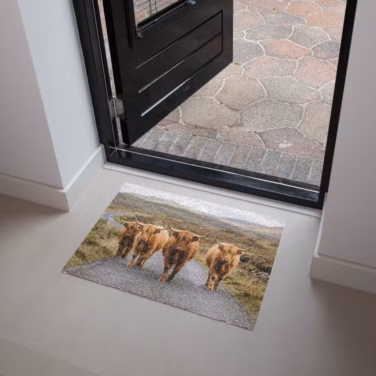 Schotse Hooglanders - Weg - Landschap - Kudde Deurmat klein -sfeer5