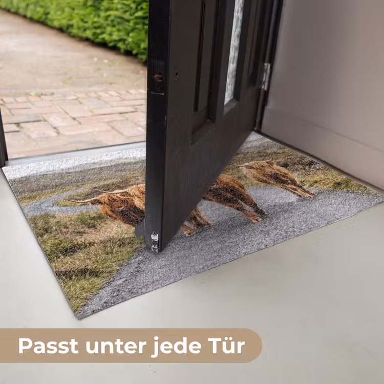 Schotse Hooglanders - Weg - Landschap - Kudde Deurmat klein -USP_DE