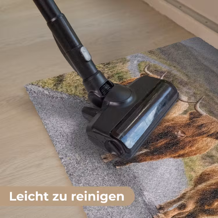 Schotse Hooglanders - Weg - Landschap - Kudde Deurmat klein -reinigen_DE