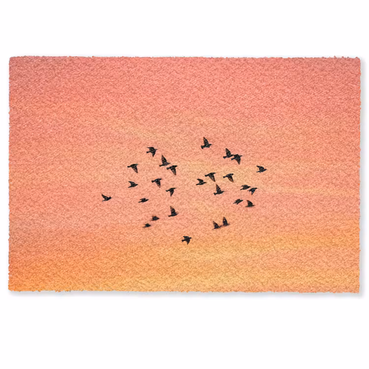 Zwerm - Vogels - Oranje Deurmat klein -zkaufland3d