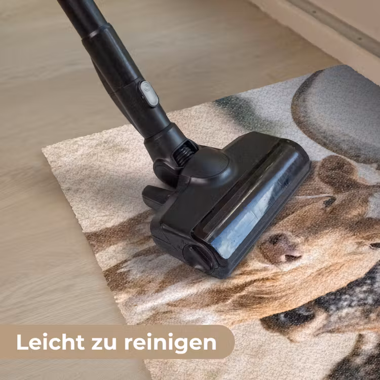 Texas Longhorn - Kalf - Weide - Dieren Deurmat klein -reinigen_DE