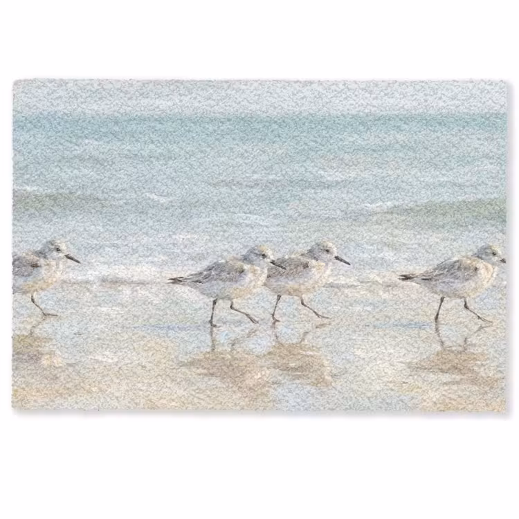 Vogels - Strand - Zee Deurmat klein -zkaufland3d