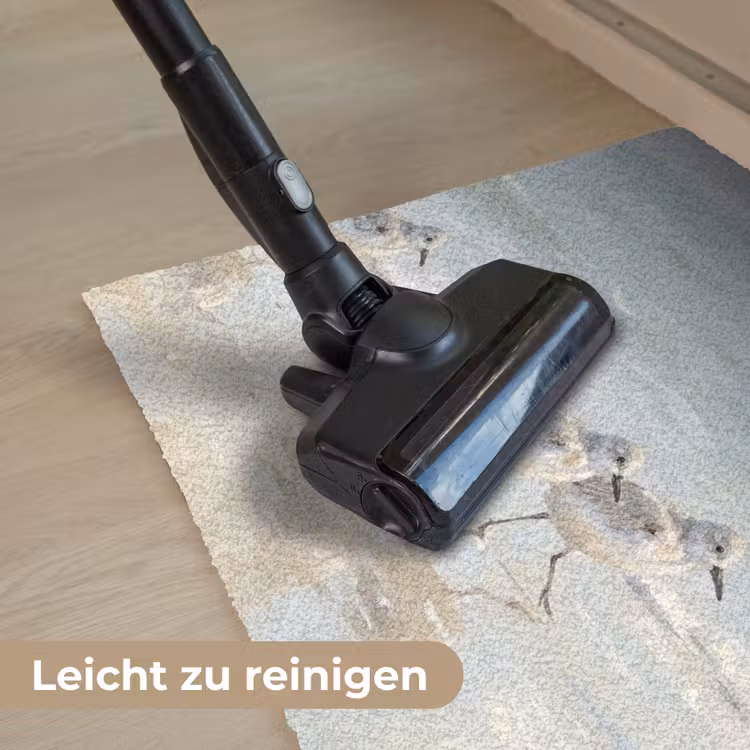 Vogels - Strand - Zee Deurmat klein -reinigen_DE