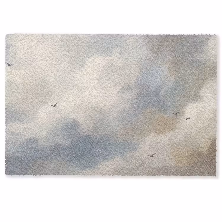 Vogel - Wolken - Natuur - Modern - Grijs Deurmat klein -zkaufland3d