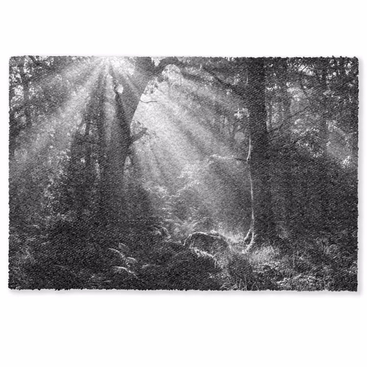 Bos - Lichtstralen - Natuur - Zwart-wit Deurmat klein -zkaufland3d