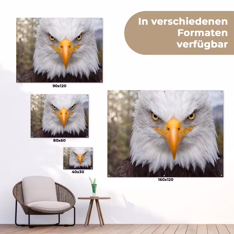 Amerikaans - Zeearend - Portret - Geel tuinposter los doek klein -Xsfeer9_DE
