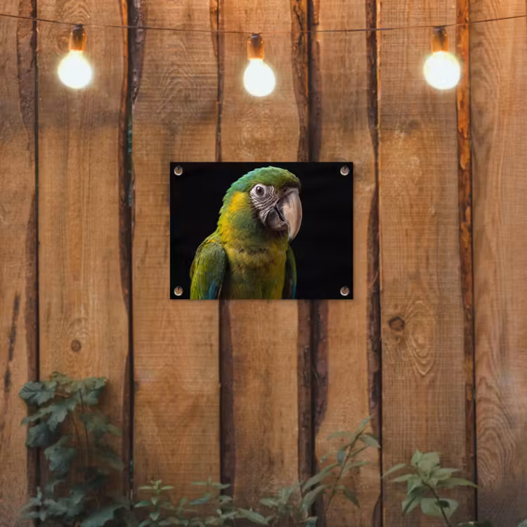 Ara - Portret - Groen tuinposter los doek klein -sfeer1