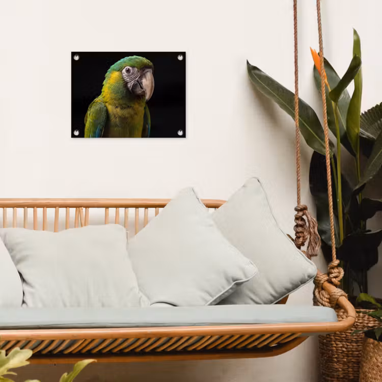 Ara - Portret - Groen tuinposter los doek klein -sfeer7