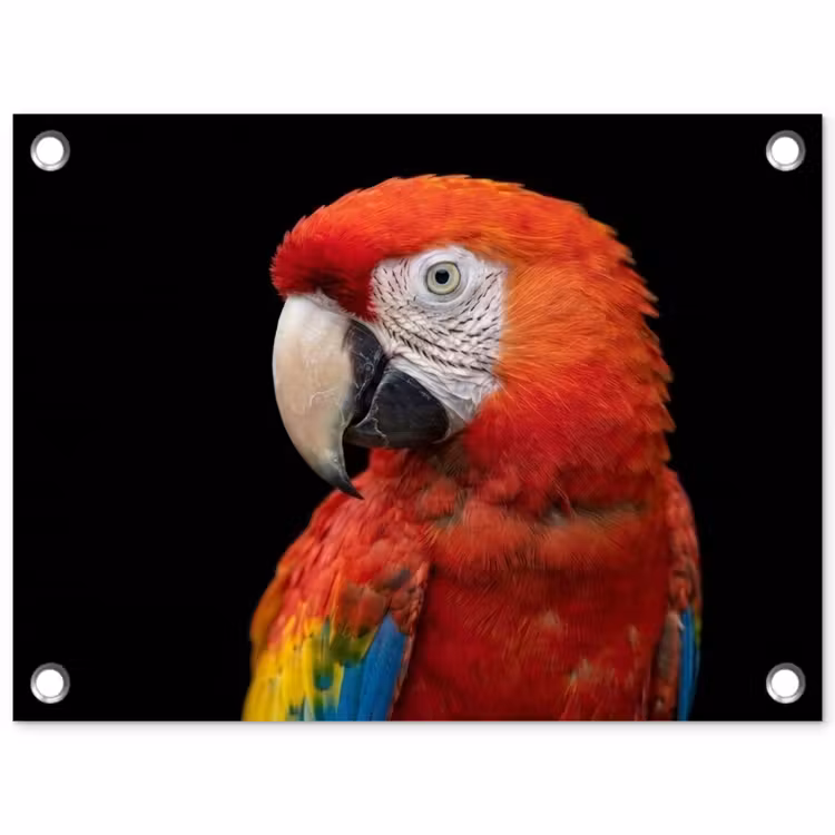 Ara - Portret - Rood tuinposter los doek klein -3d