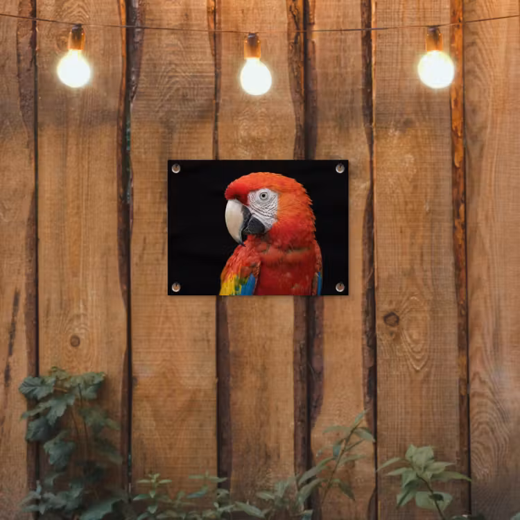 Ara - Portret - Rood tuinposter los doek klein -sfeer1