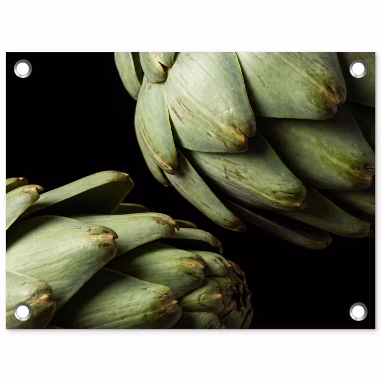 Gartenposter - Artischocke – Grün – Essen - Artisjok - Groen - Eten tuinposter los doek klein